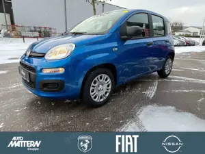 Fiat Panda Pandina Icon,PDC,DAB