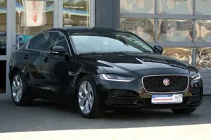 Jaguar XE P250 Aut. S Bild 2
