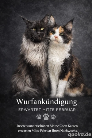 Wurfankündigung 2026 