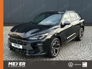 CUPRA Terramar VZ 2.0 TSI DSG 4Drive *Garantie, AHK, DCC, 19"-LM