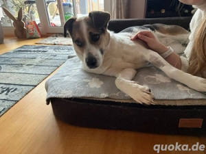 Coco wartet auf ihre Menschen