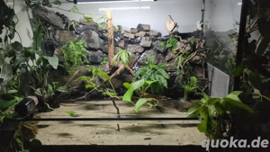 maßangefertigtes Aquarium Paludarium Terrarium Gewächshaus 