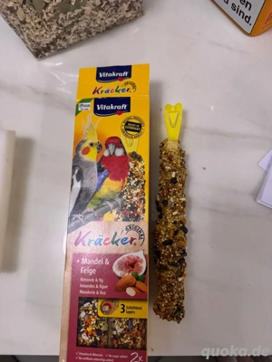 2 wunderschöne afrikanische mini papageien  Bild 4