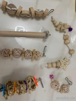 2 wunderschöne afrikanische mini papageien  Bild 2