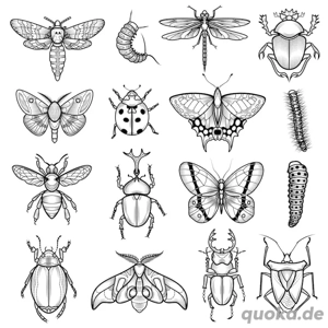 Suche verstorbene Insekten Wirbellose zum präparieren 