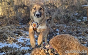 Kiani ist bereit für Abenteuer!