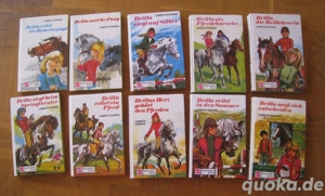 Britta - Pferdebücher für Leseratten