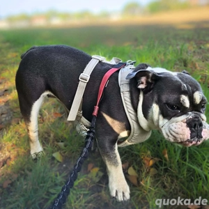 Sally - ist eine Einzelprinzessin 