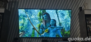 hisense Fernseher 65 zoll