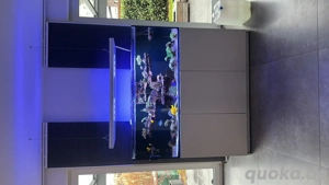 Meerwasseraquarium Red Sea Reefer 525 - Top 