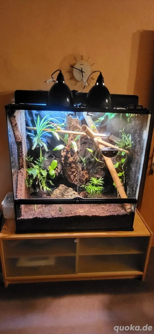 Exo Terra 90x45x90 mit Technik und Einrichtung