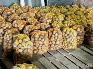 Angebot - BIO - Kartoffeln Soraya aus Polen 50 t