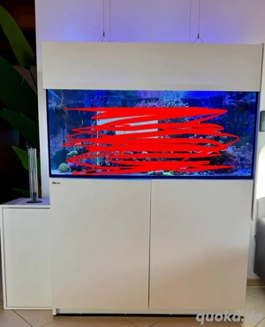 Red Sea Reefer 350, Meerwasseraquarium, Aquarium 350l, Seewasser