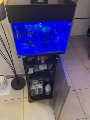 Aquarium 50 liter mit unterschrank