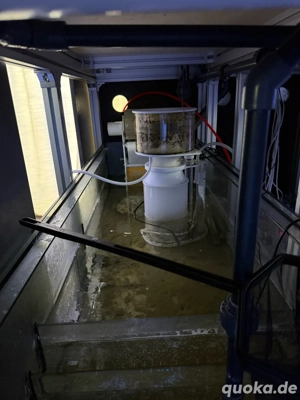 Meerwasser Aquarium inc Technik (keine tiere) Bild 4