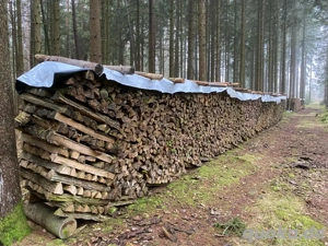 48 Ster Brennholz ca.1m lang, 4 Jahre alt