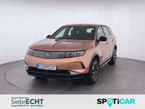 Opel Grandland Electric Edition*NAVI*SHZ*RFK*uvm