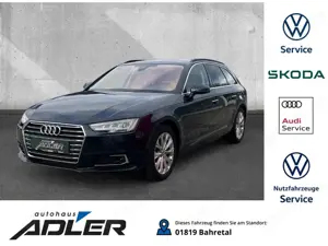 Audi A4 Avant 3,0TDI design Matrix AHK Standhz LenkradHz
