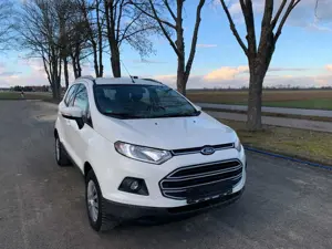 Ford EcoSport Trend, Motor Schaden