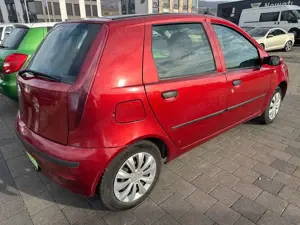 Fiat Punto 1.2 8V Dynamic Bild 5