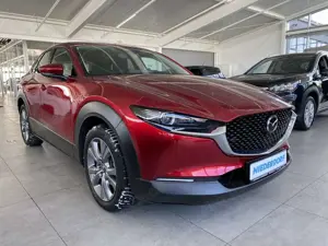 Mazda CX-30 2.5 Exclusive AUTOMATIK 360°, Matrix, Bose