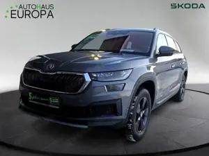 Skoda Kodiaq 2.0 TSI DSG 4x4 Tour ACC Navi Kam Matrix eKlappe 4
