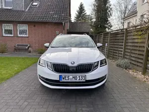Skoda Octavia Octavia Combi 1.5 TSI G-TEC DSG Ambition Bild 2