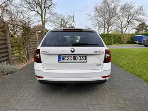 Skoda Octavia Octavia Combi 1.5 TSI G-TEC DSG Ambition Bild 5