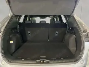 Ford Kuga 2.5 Duratec FHEV ST-LINE X Bild 5