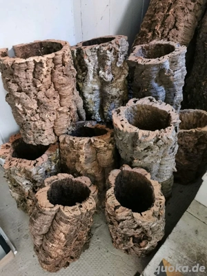 Korkröhren Kork Korkhöhlen XXL Korkröhren Bild 3