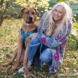 Cadillac - 10 Monate - Ridgeback Doggen Mix - Tierhilfe Franken e.V. Bild 3