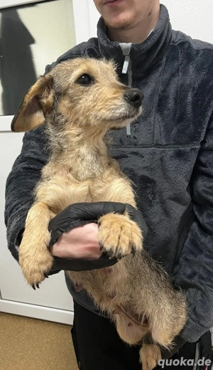 Yolanda sucht Wärme und Liebe