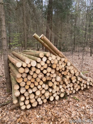 Holzstickel, Pfähle aus Fichte