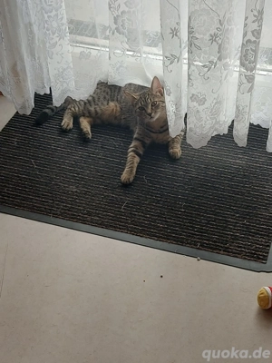 Kleine Naila sucht ihr Glück   