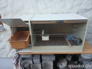 Zuchtbox  Kunststoff  Bild 2