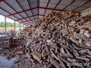Brennholz für den Winter
