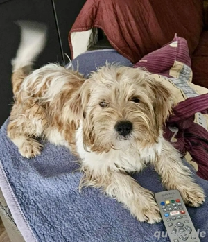 Kleine Knutschkugel Felicio