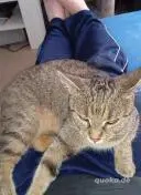 Ein Zuhause für die Ewigkeit gesucht