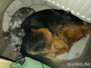 wir zwei möchten zusammen bleiben 