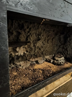 Terrarium 120x60x60 mit Beleuchtung und regendüsen