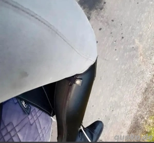 Session mit echter Reitherrin LadyBella!