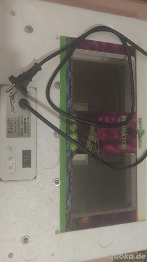 Inkubator inkl. Vermiculite 