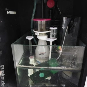 Meerwasseraquarium komplett Bild 4