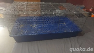 Käfig 100x50, gebraucht