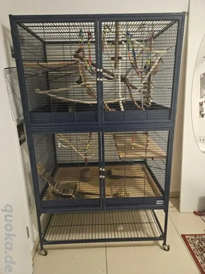 Rattenkäfig double Savic Suite royal