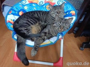 Anna&Elsa wollen zusammen bleiben