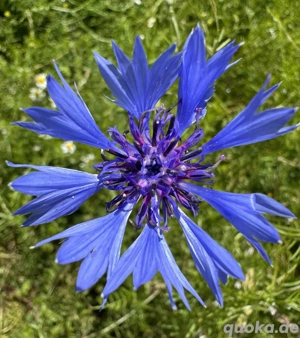 Job für die Frau ! Attraktiv,Zuverlässig Top Verdienst 