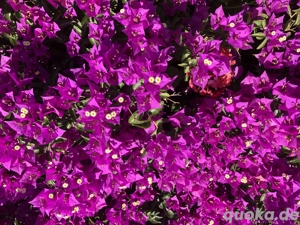 Top Verdienst in Escort !! Weiblich-Attraktiv 