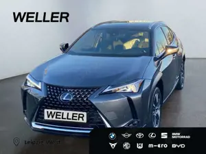 Lexus UX 250h Style Edition*Kamera*SHZ*PDC*CarPlay*ACC*