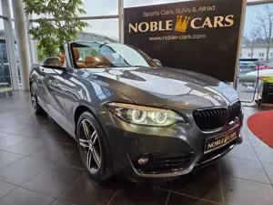 BMW 220 d Cabrio Sport Line H/K LED NAV SHZ PDC 17"